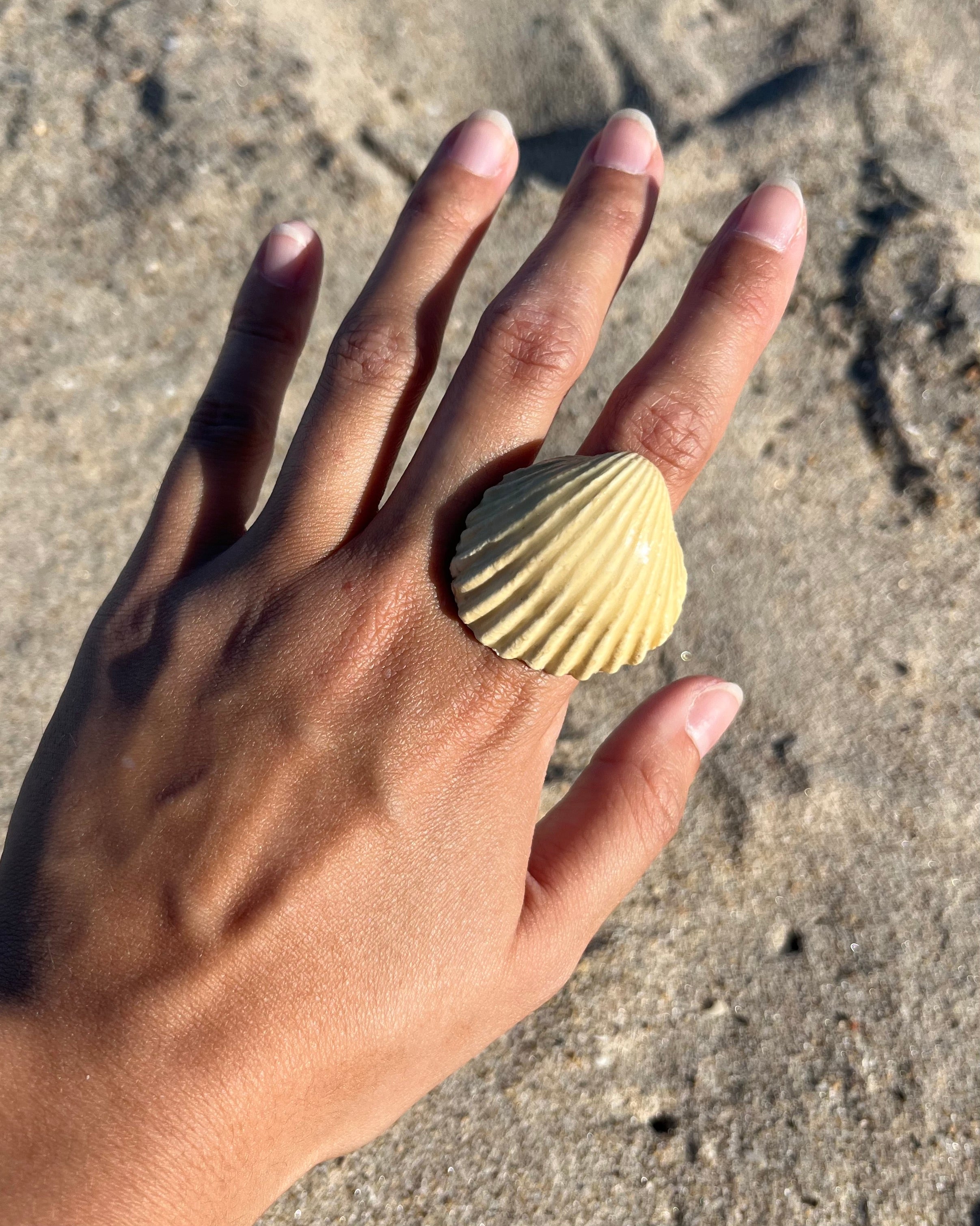 Anillo Concha